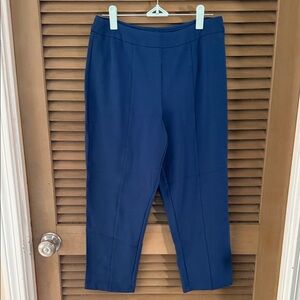 Joan Rivers Elegant Navy pants.  Pull on pants, approximately 23” inseam SP.